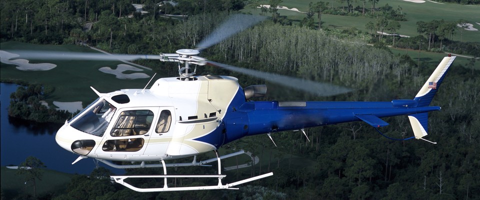 as350_large_croped